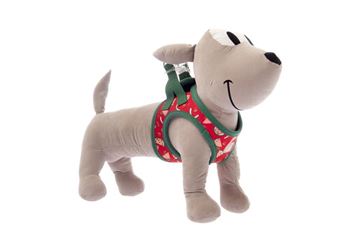 Trupore për qen, Motif Watermelon, Ferribiella