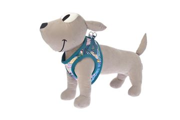 Trupore për qen, St.Tropez, Ferribiella