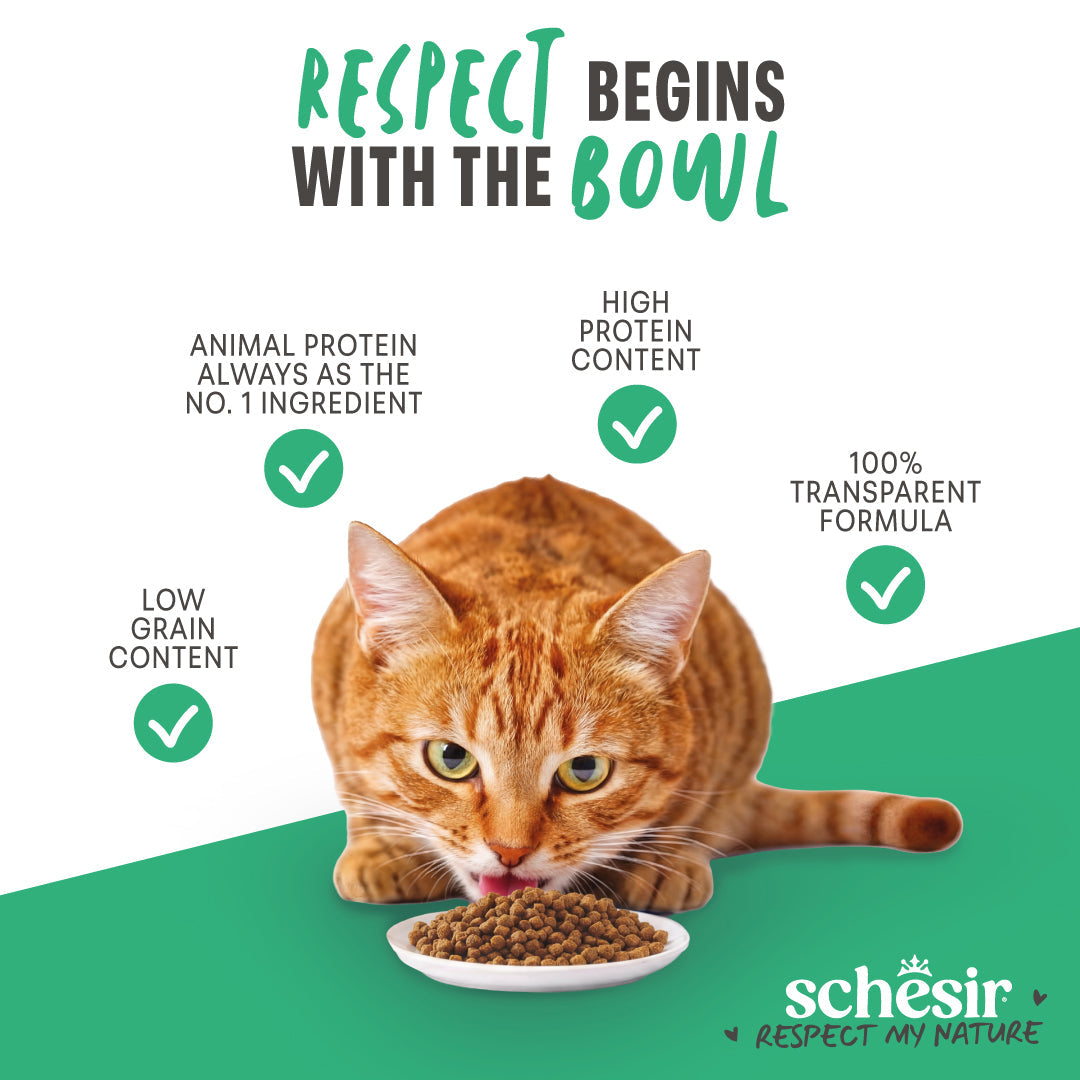 Ushqim i thatë për kotele, Schesir Kitten, 400 gr.