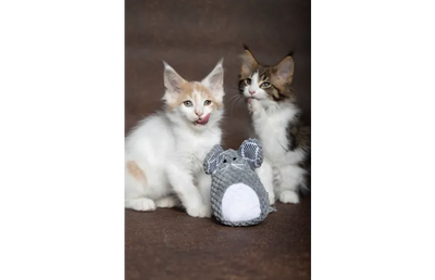 Lodër për mace, me catnip, Mazzo Mouse Grey, 9.3 x 11.3 cm