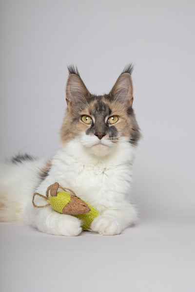 Lodër për mace, me catnip, Lemmo Llama Green, Flamingo (Copy)