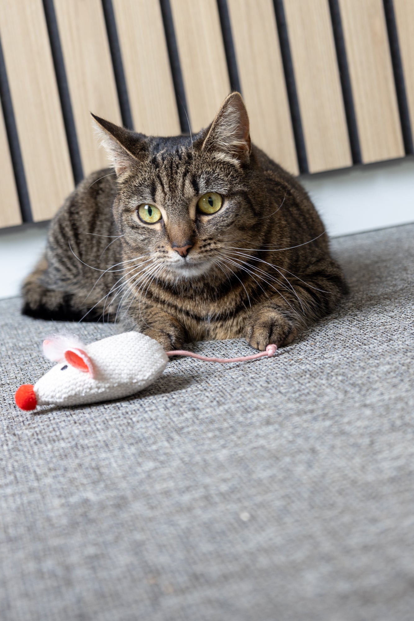 Lodër për mace, Lovu Mouse Beige, Flamingo