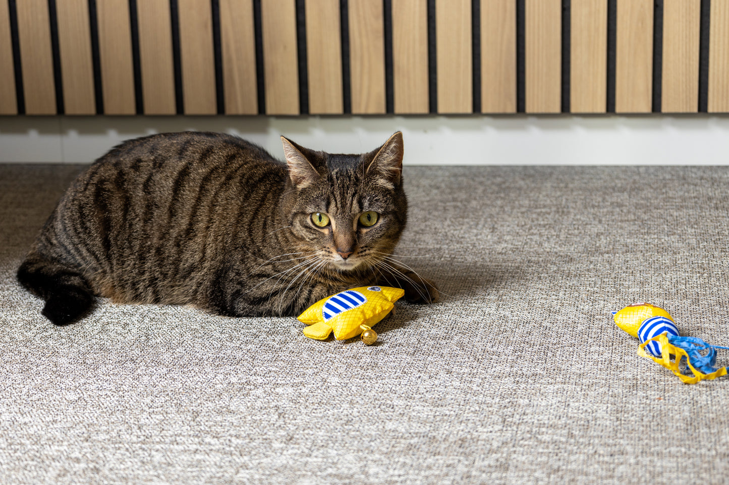 Peshk me catnip dhe zile, Toy Strellow Fish Yellow, Flamigno