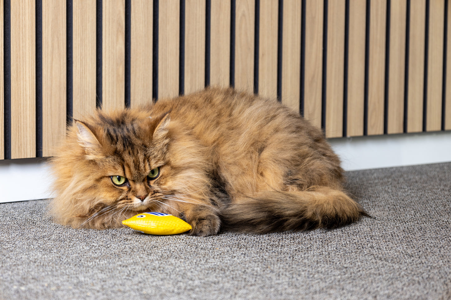 Peshk me catnip dhe zile, Toy Strellow Fish Yellow, Flamigno