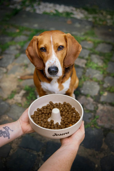 Ushqim për qen, Josera Lamb & Rice, Monoprotein, 12.5 kg