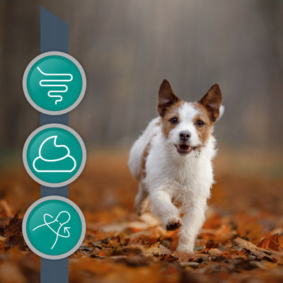 Diar Vet, 30 kapsula.