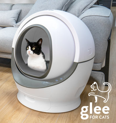 Glee Cat, Tualet vetëpastrues elektrik për mace