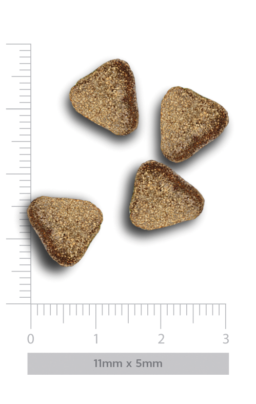 Ushqim për qen, Harper and Bone, Adult Medium/ Large, Ocean Wonders, 12 kg