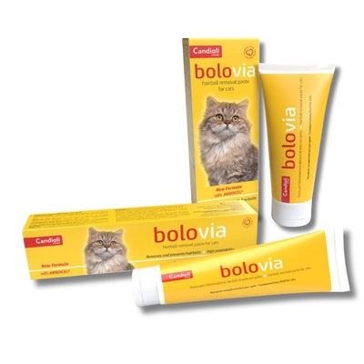 Paste kunder topthave te qimeve, BoloVia, HairBall Remover, 100 gr.
