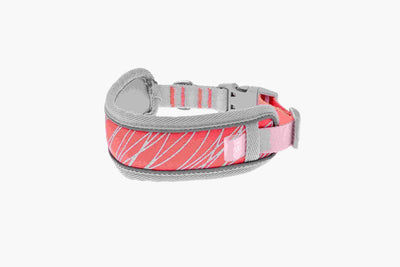 Kollare për qen, Onda Bold Red, Ferribiella