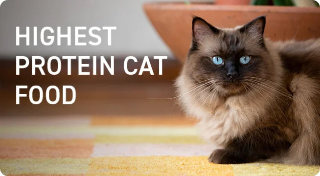 Ushqim për mace, Acana Cat Pacifica, 1.8 kg.