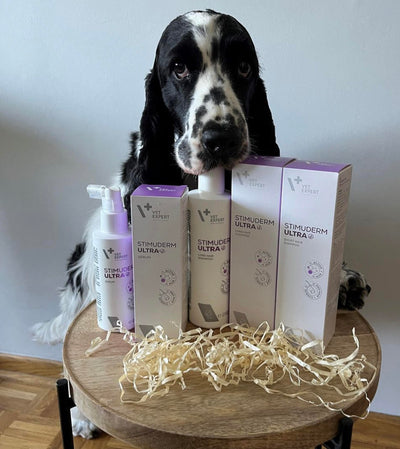 Serum për qime,. StimuDerm Ultra Serum, 150 ml