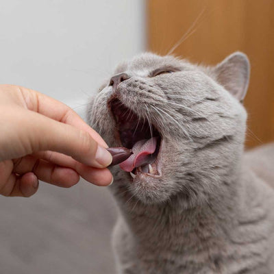 Hepatiale Forte, 40 kapsula