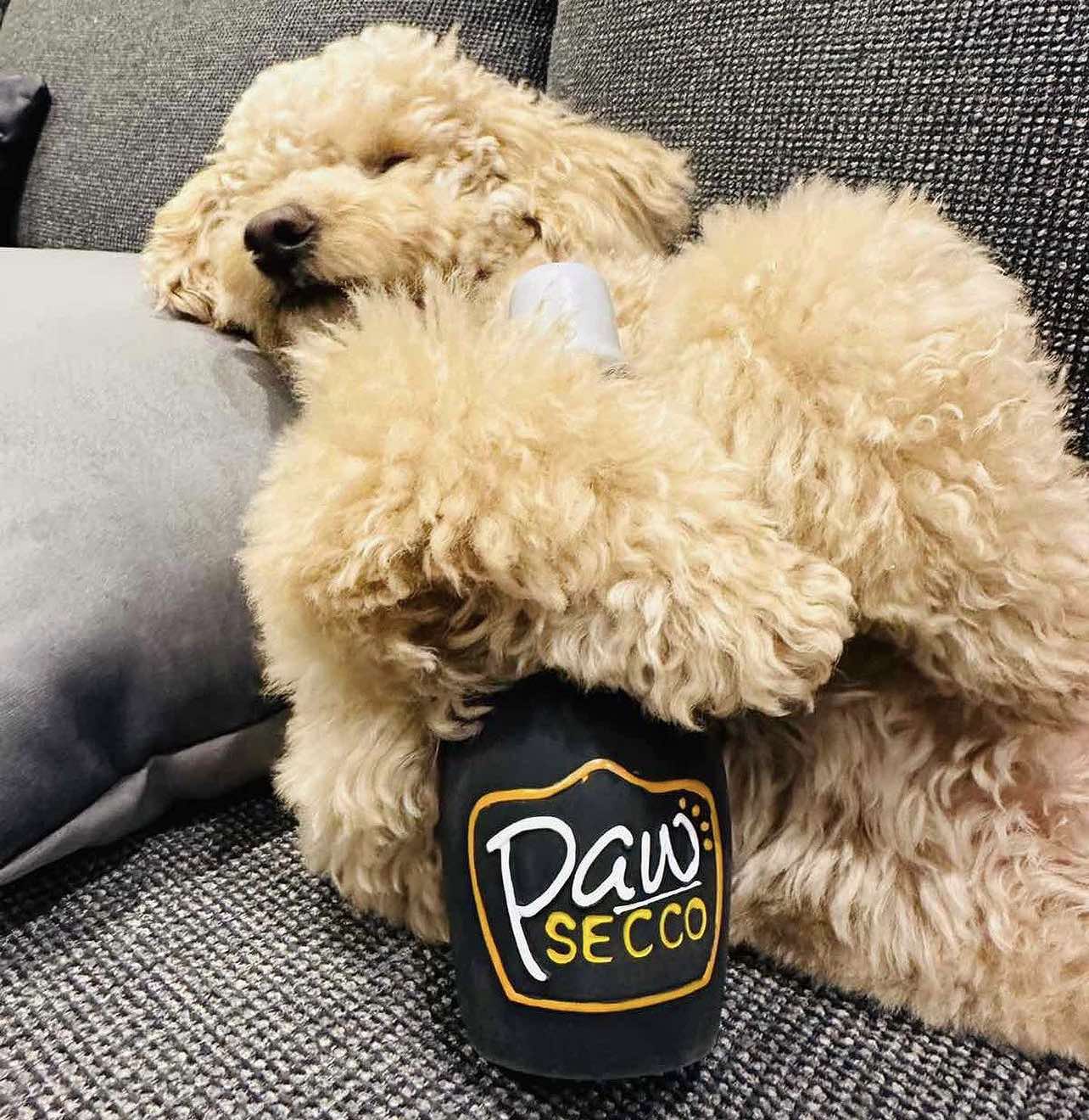 Paw Secco, Croci