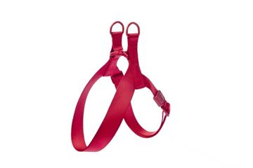 Trupore Suprema, Red, Ferribiella