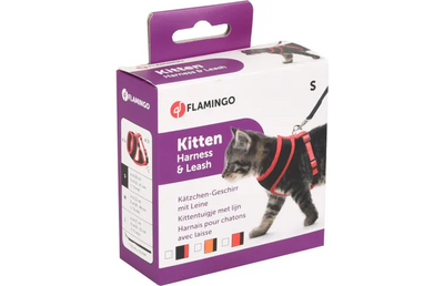 Trupore dhe Litar për kotele, Flamingo.