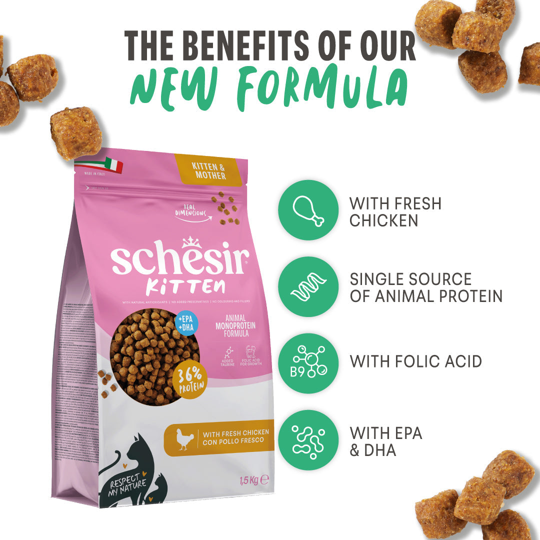 Ushqim i thatë për kotele, Schesir Kitten, 400 gr.