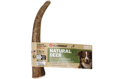 Bri Kaprolli, Nature Snack Deer Antlers, 1 pcs, S