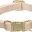 Kollare për qen, Saba Beige, S, 30 -45 cm/ 15 mm