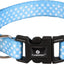 Kollare për kotele, 15-25 cm, blue, Flamingo