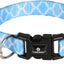 Kollare për kotele, 15-25 cm, blue, Amsi, Flamingo