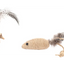 Lodër grithëse për mace, Yutsa Mouse + Ball, 13x3x3CM flamingo