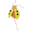 Lodër për mace, me catnip, Lemmo Ladybug Green, Flamingo