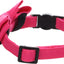 Kollare për mace, Lomi Fuchsia, 20 - 35 cm