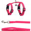 Kollare dhe trupore per kotele, Flamingo, A:15-22cm B:20-30cm C:120cm x 10mm x 2mm