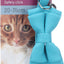 Kollare me kordele, Lomi Light Blue, 20-35 cm