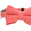 Kollare për kotele, Lomi Salmon Pink, 15-22cm x 10mm x 2mm