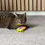 Peshk me catnip dhe zile, Toy Strellow Fish Yellow, Flamigno