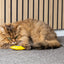 Peshk me catnip dhe zile, Toy Strellow Fish Yellow, Flamigno