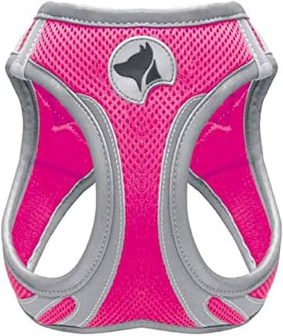 Trupore për qen,  Reflective Pink, Croci