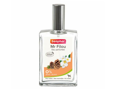 Parfum për meshkuj, Mr. Filou Bephar, 50 ml (EDP)