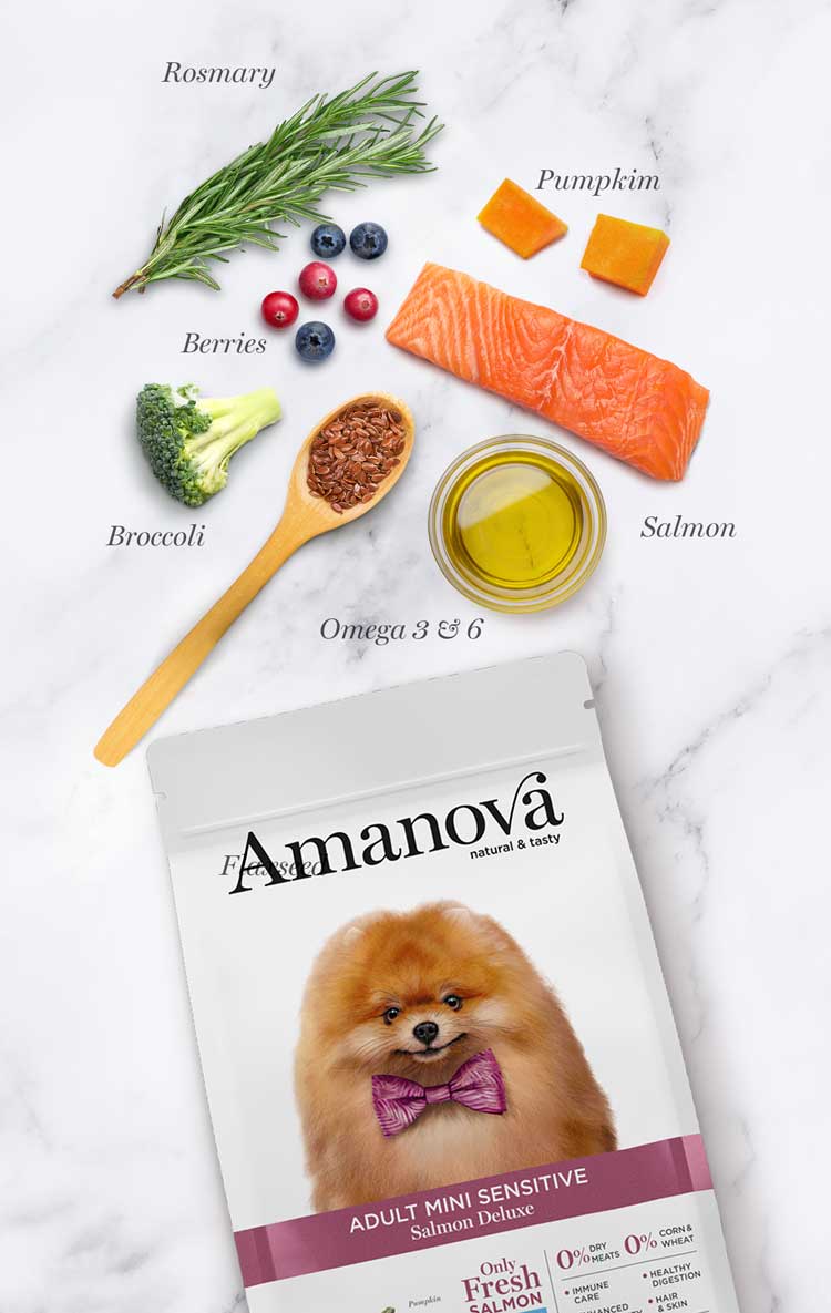 Ushqim për qen, Amanova Adult Mini Sensitive, Salmon Deluxe, 2kg