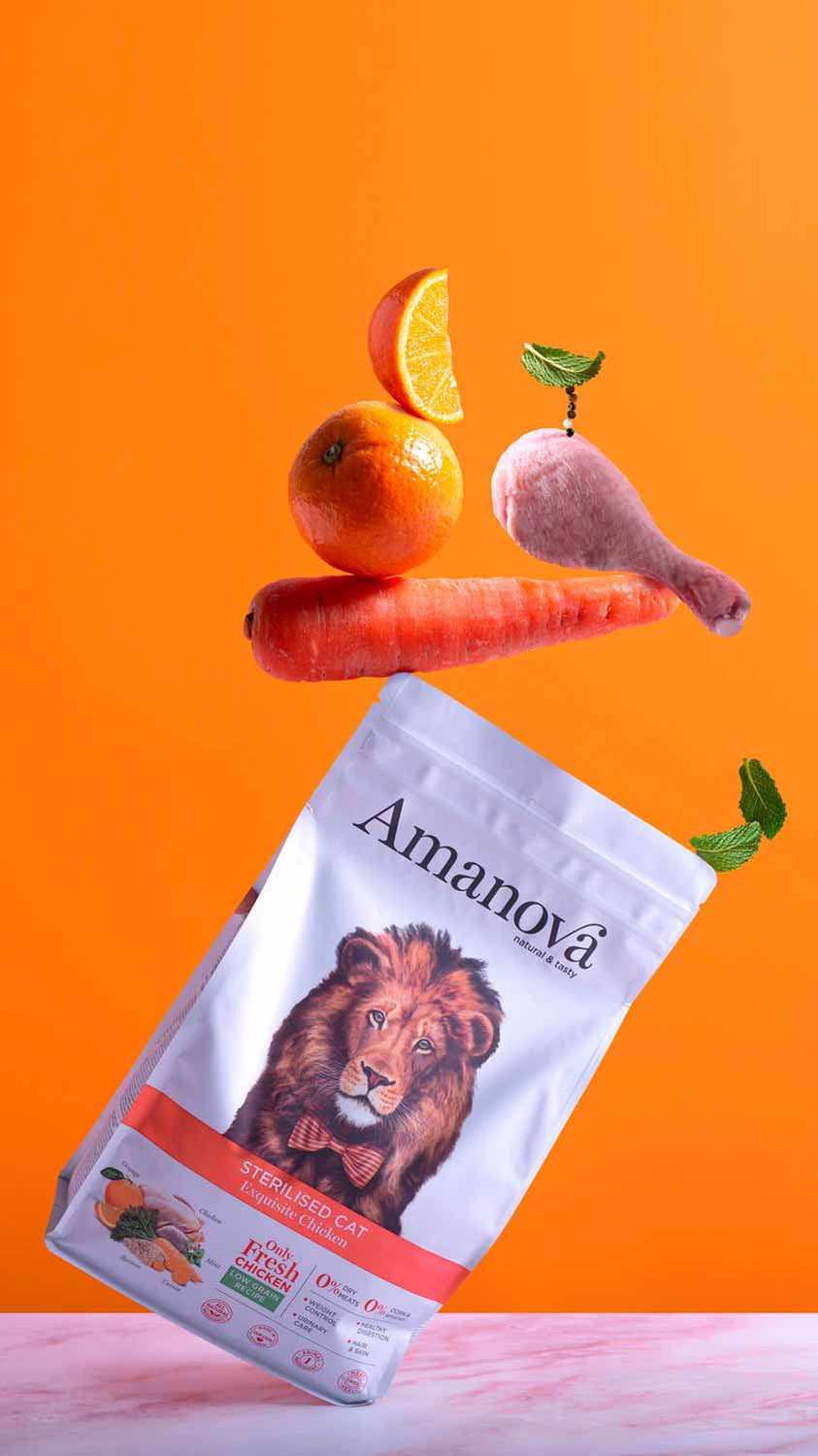 Ushqim për mace, Amanova Adult Cat, Exquisite Chicken, 1.5 kg