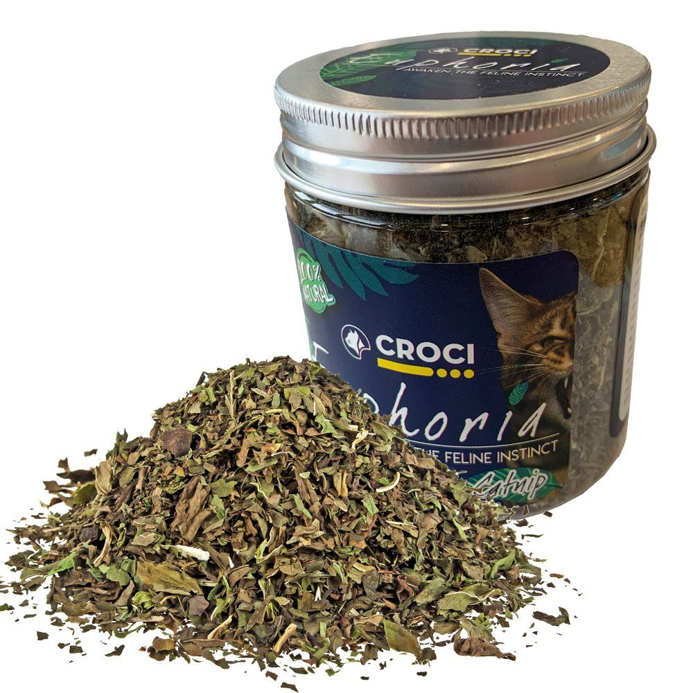 Catnip për mace, Croci Spa, 25 gr.