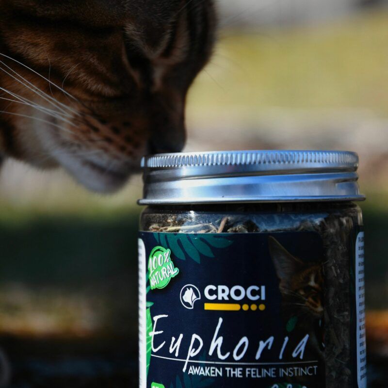 Catnip për mace, Croci Spa, 25 gr.