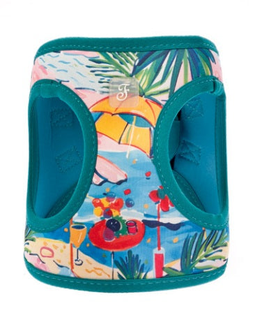 Trupore për qen, St.Tropez, Ferribiella