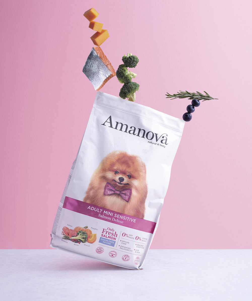 Ushqim për qen, Amanova Adult Mini Sensitive, Salmon Deluxe, 2kg