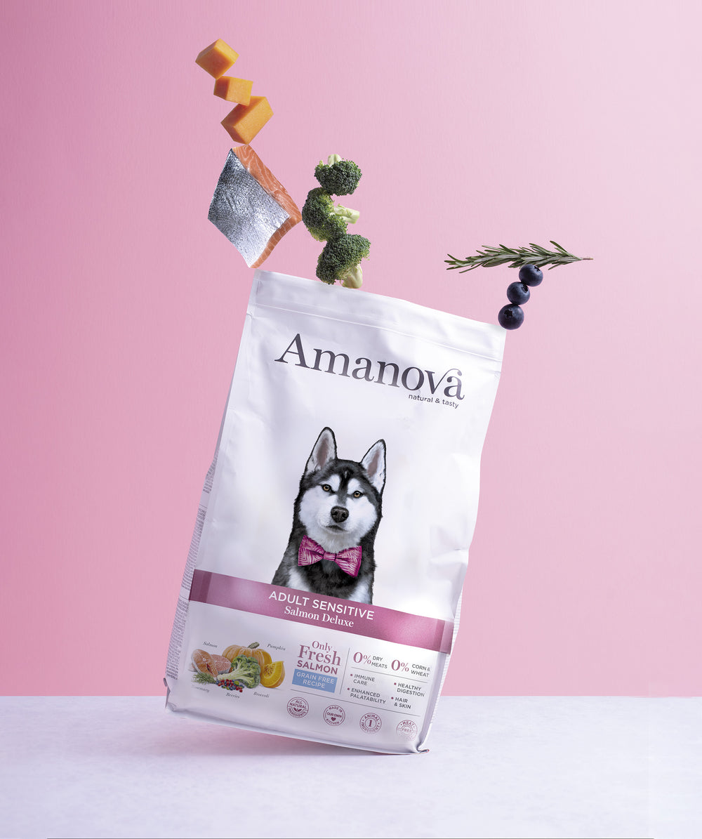 Ushqim për qen, Amanova Adult Sensitive, Salmon, 10 kg