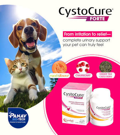 Cysto Cure Forte, qen dhe mace, 30 gr.