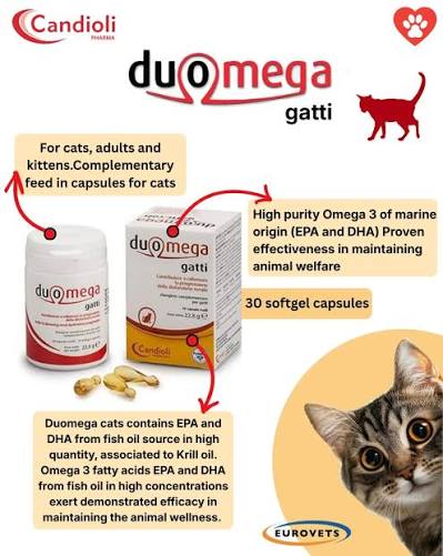 Duomega, Mace, 500 mg, 30 tab.