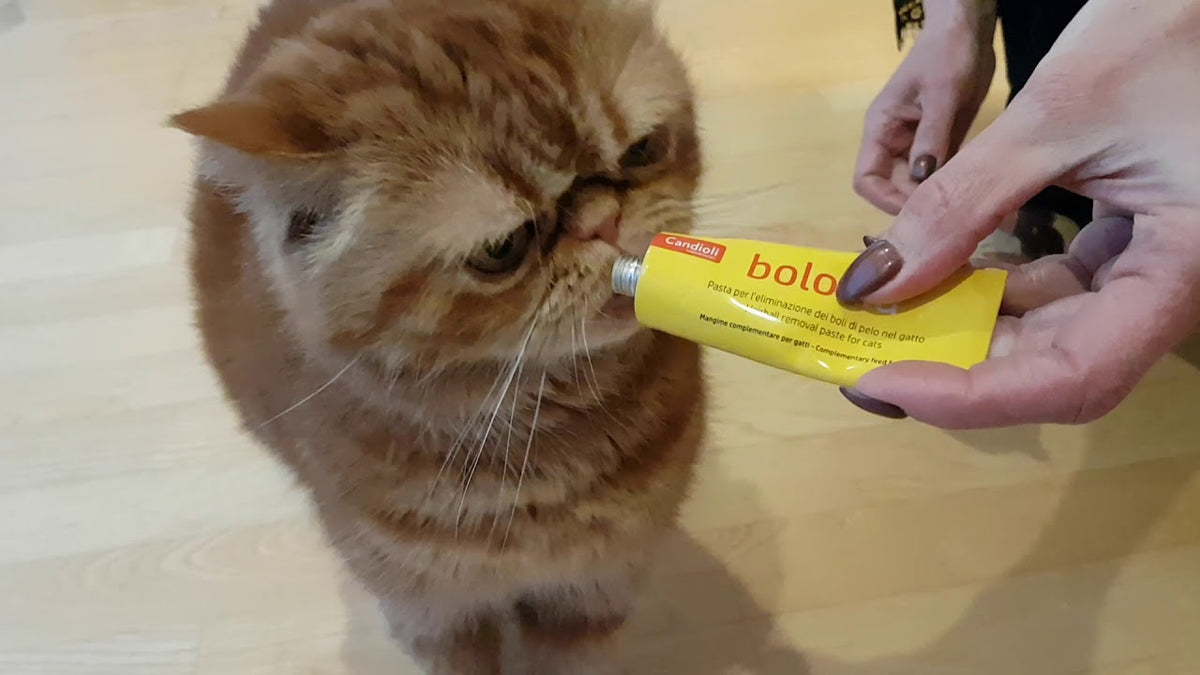 Paste kunder topthave te qimeve, BoloVia, HairBall Remover, 100 gr.