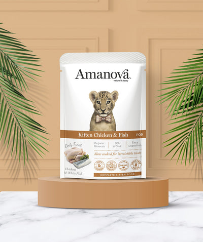 Ushqim i lëngëshëm për kotele, Amanova Kitten Pouch, 85 gr.