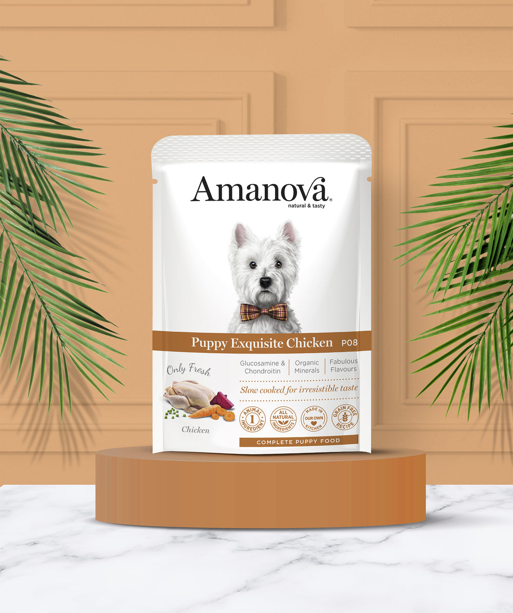 Ushqim i lëngëshëm për kelysh, Amanova, Puppy, Chicken, 100 gr,